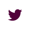 twitter logo