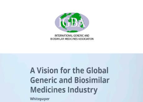 IGBA Vision Report